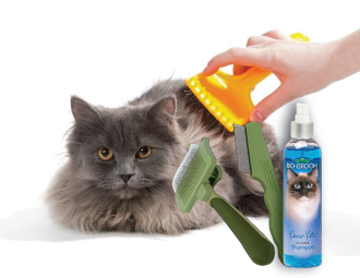 Grooming Essentials