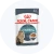 Cat Special Diet
