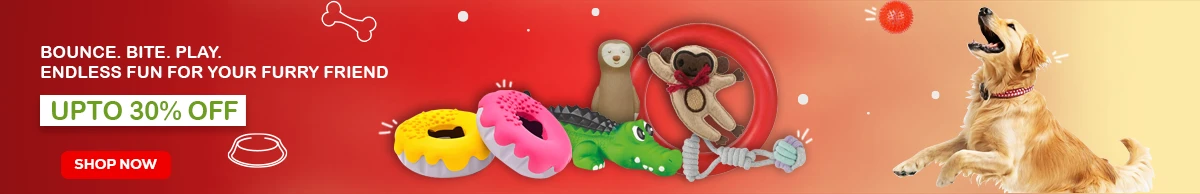 Dog treats banner