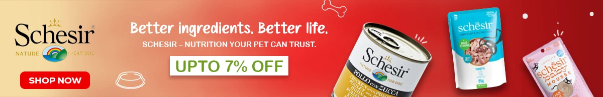 Dog treats banner