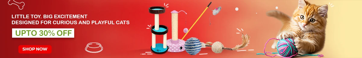 Dog treats banner