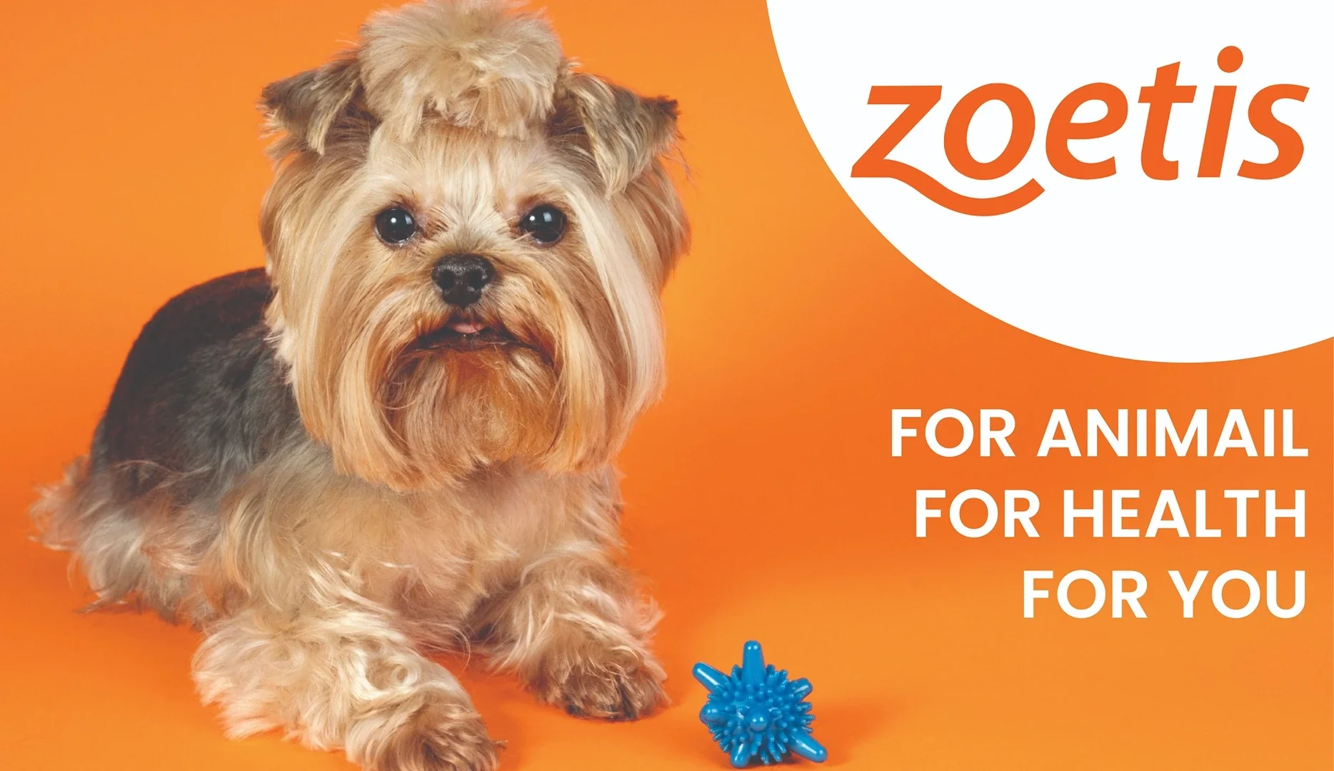 ZOETIS Pet-Tabs