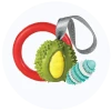 Chew Toys