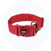 Collars