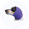 Dog Clothes