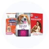 Puppy Food