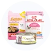 Kitten Food