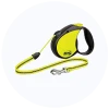 Leashes
