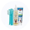 Oral Care