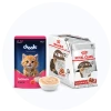 Wet Cat Food