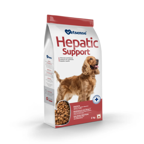 Vetsense Hepatic Support