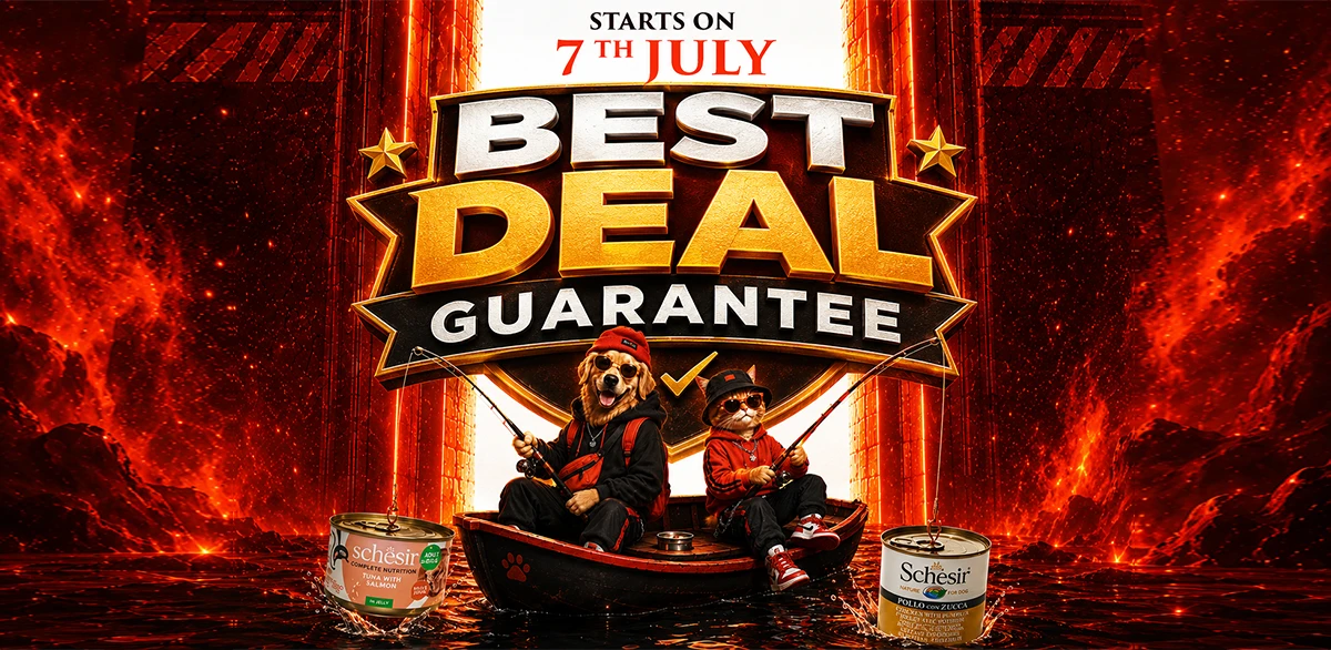 Dog treats banner