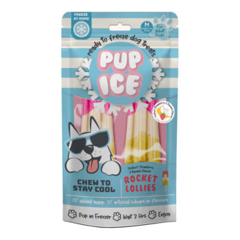 Pup Ice Strawberry and Banana Rocket Lollies 90 g pack